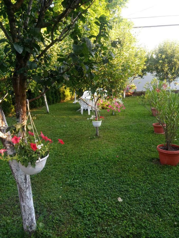 Apartmani Jasmina 2 Bihac Bagian luar foto